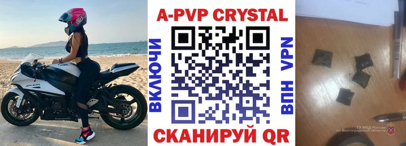 Купить закладки  Курчалой  А ПВП крисы CK 