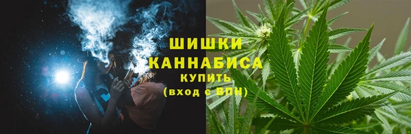 ешки Горняк