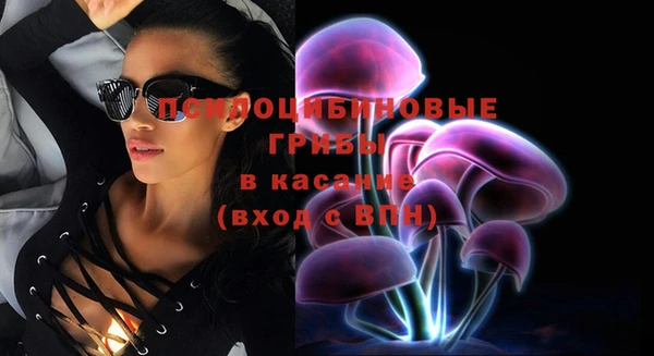 ешки Горняк