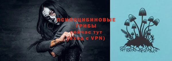 ешки Горняк