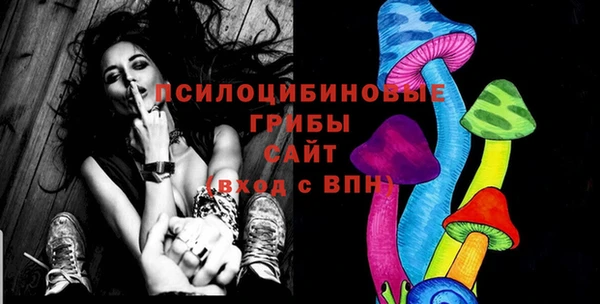 первитин Горнозаводск